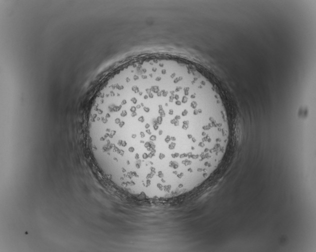 X0000114591494200911161319