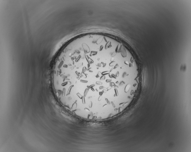 X0000114591501200911161319