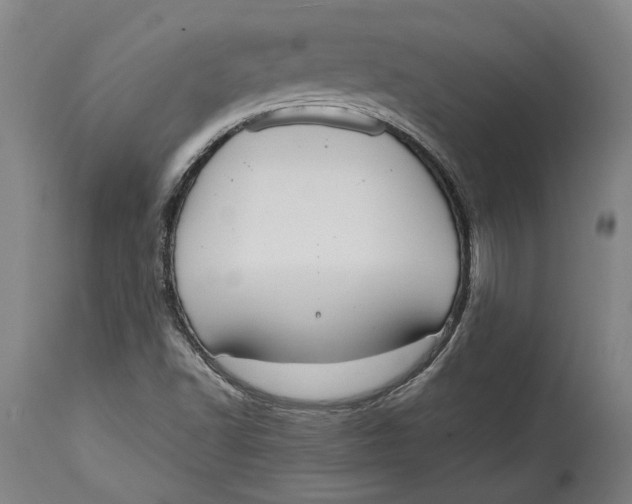 X0000114591502200911161319