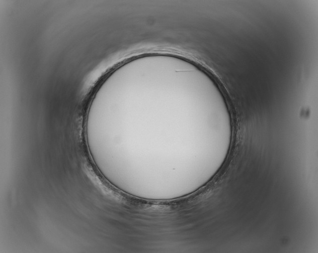 X0000114591503200911161319