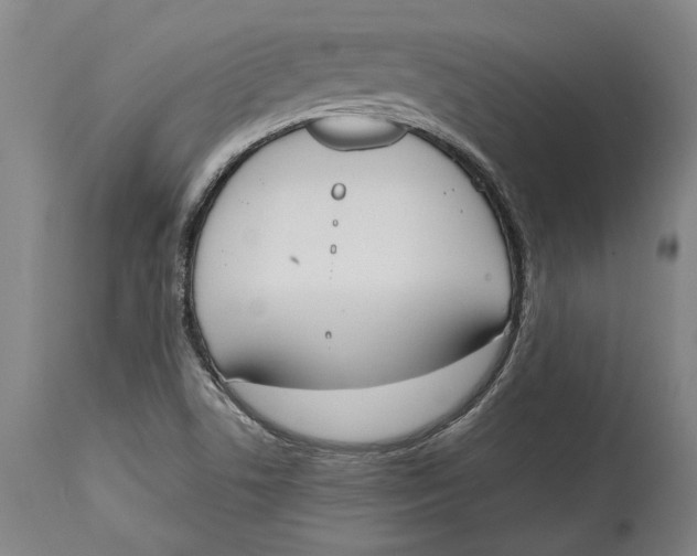 X0000114591506200911161320