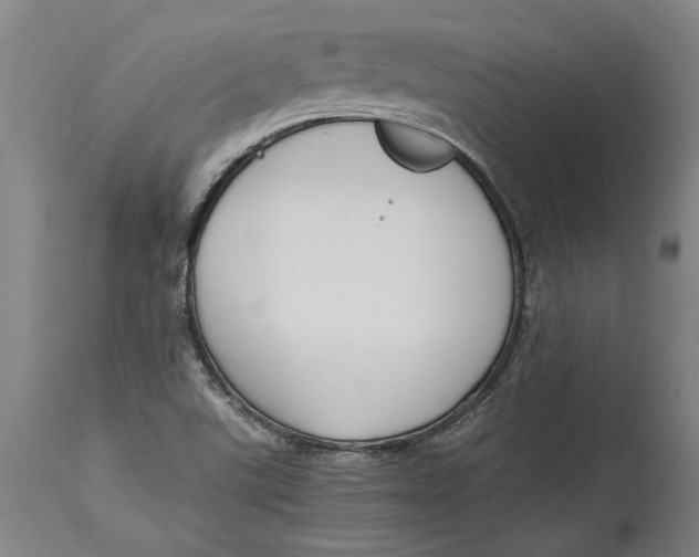 X0000114591507200911161320