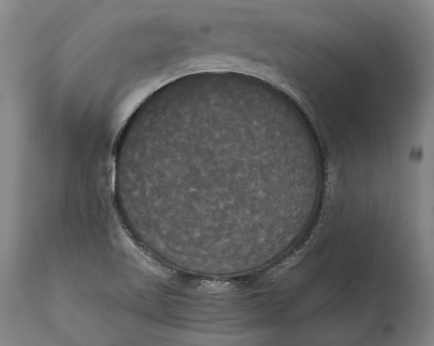 X0000114591509200911161320