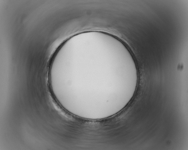 X0000114591511200911161320