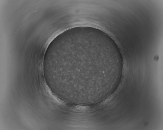 X0000114591513200911161320