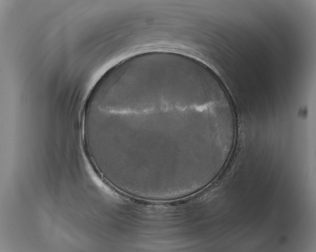 X0000114591515200911161320