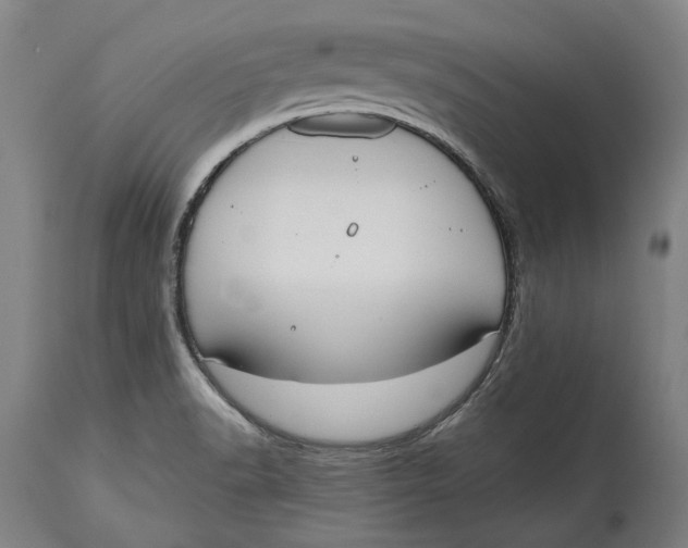 X0000114591518200911161320