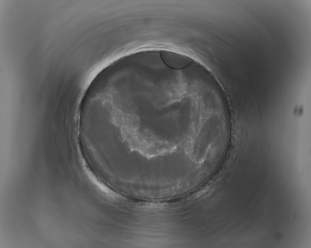 X0000114591519200911161320