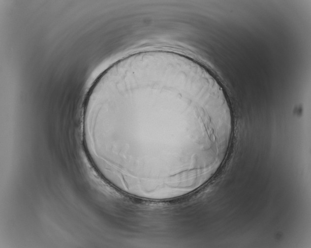 X0000114591522200911161320