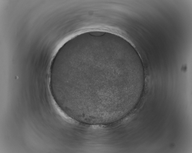 X0000114591523200911161320