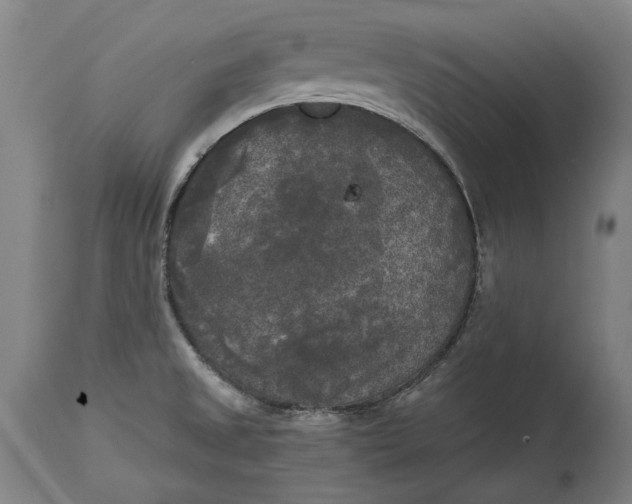 X0000114591525200911161320