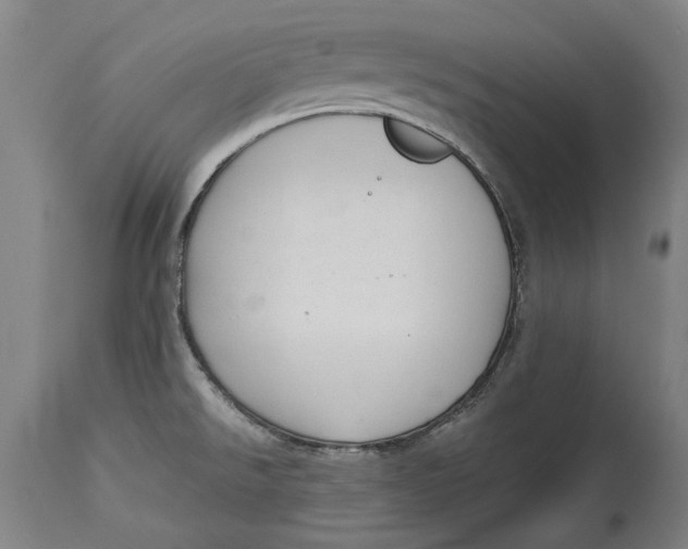 X0000114591526200911161320