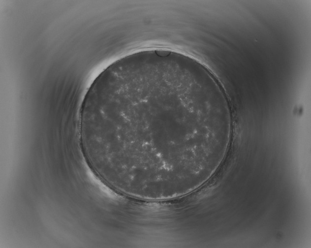 X0000114591527200911161320