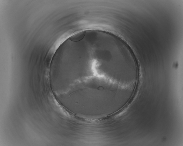 X0000114591529200911161320