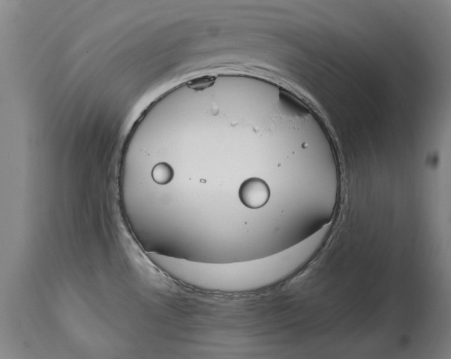 X0000114591530200911161320