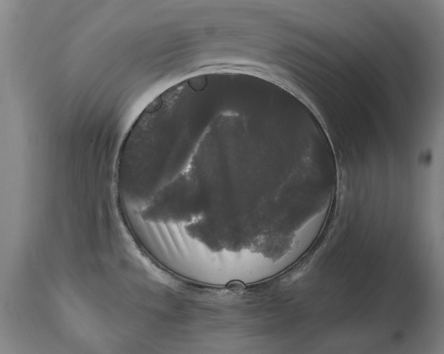 X0000114591533200911161320