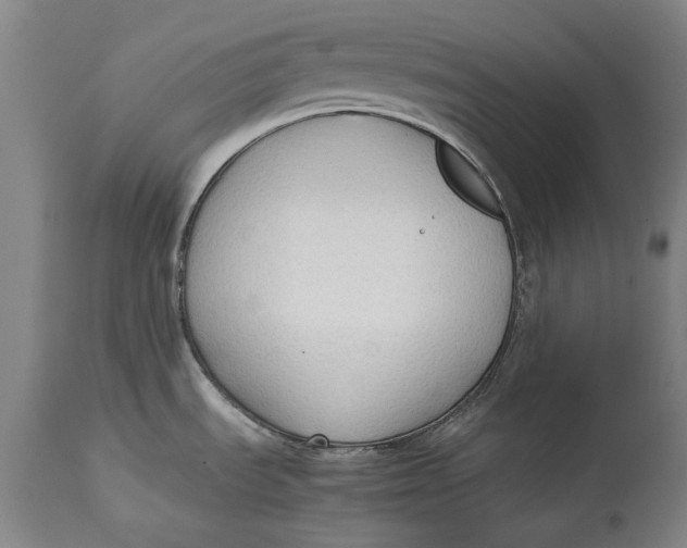 X0000114591535200911161320