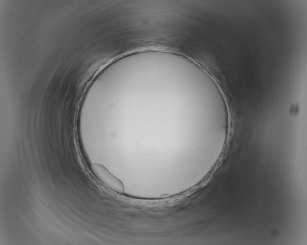 X0000114590001200911301410
