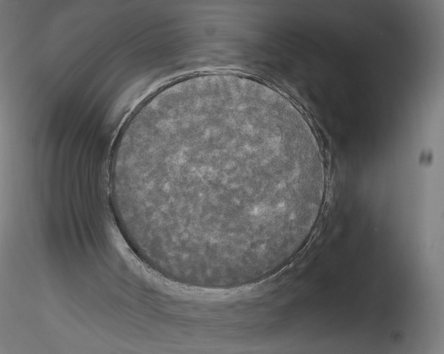 X0000114590002200911301410