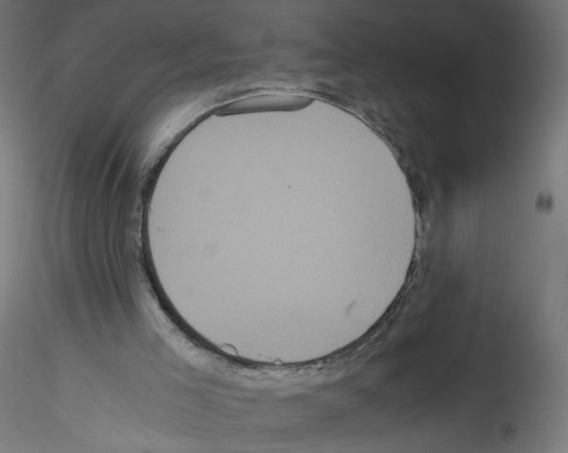 X0000114590005200911301410