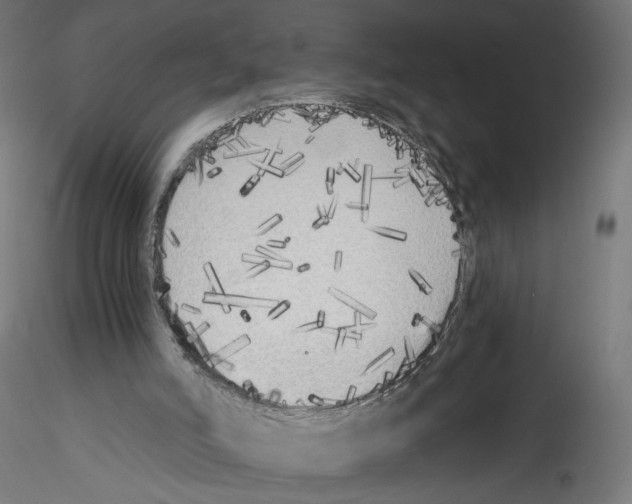 X0000114590006200911301410