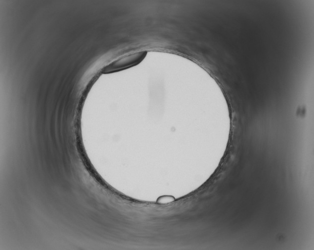 X0000114590007200911301410