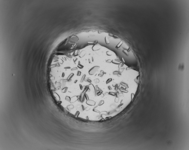 X0000114590008200911301410