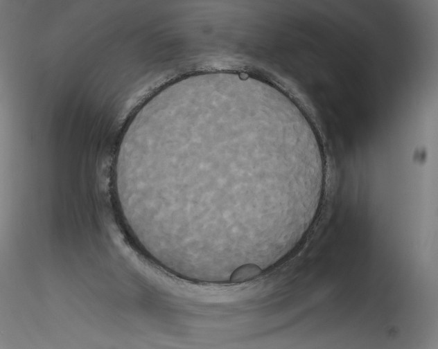X0000114590010200911301410