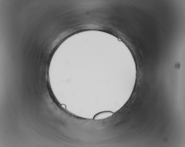 X0000114590011200911301410