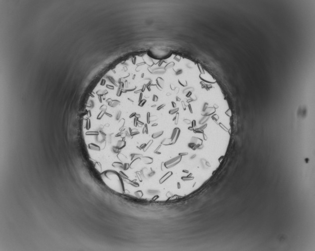 X0000114590012200911301410