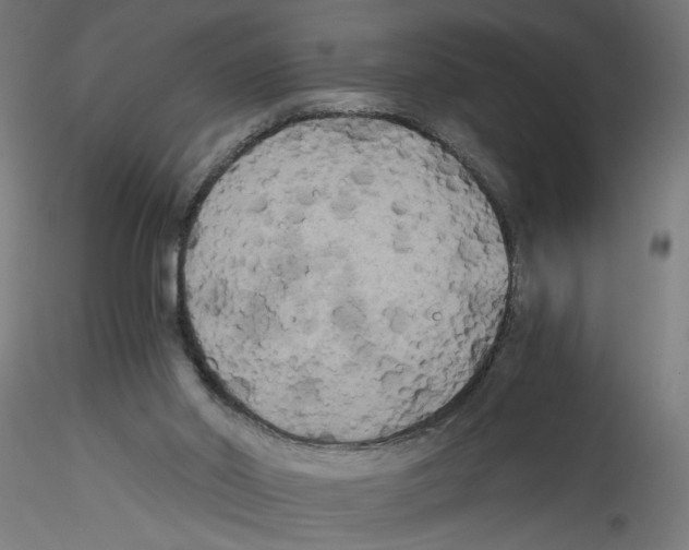 X0000114590014200911301410