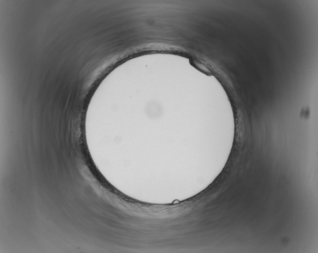 X0000114590015200911301410