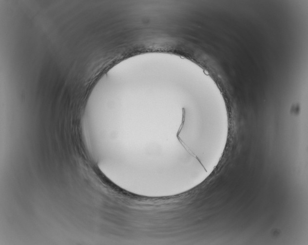 X0000114590017200911301410
