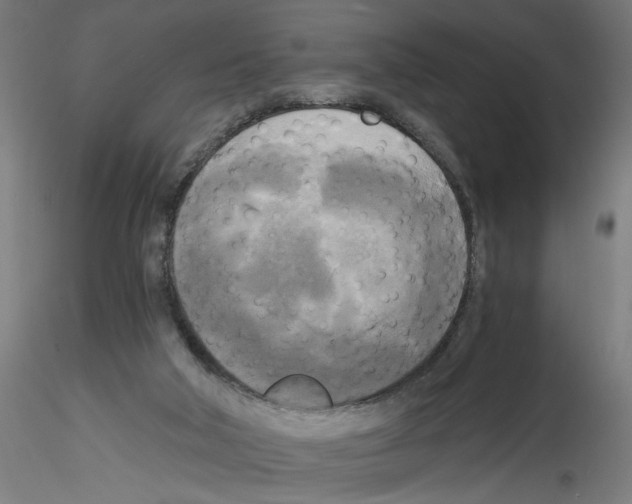 X0000114590018200911301410