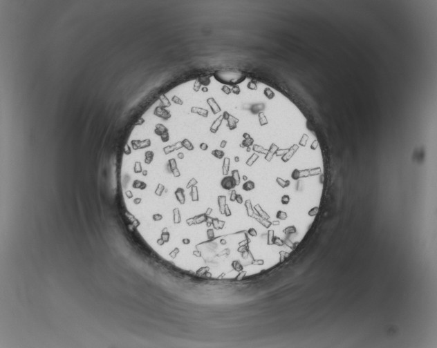 X0000114590020200911301410