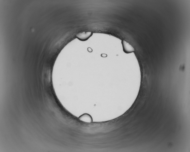 X0000114590021200911301410