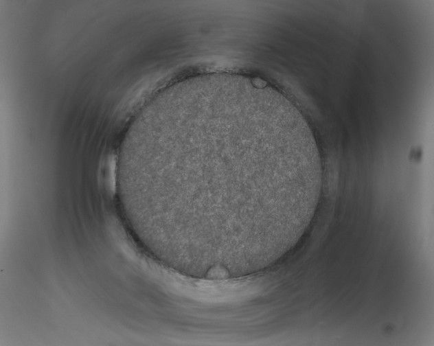 X0000114590022200911301410