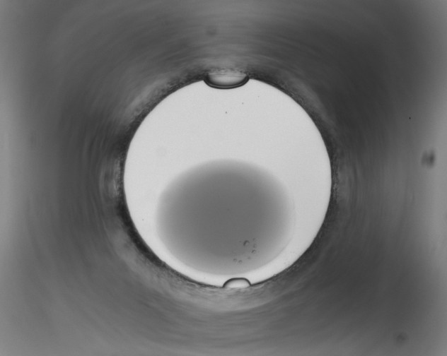 X0000114590023200911301410