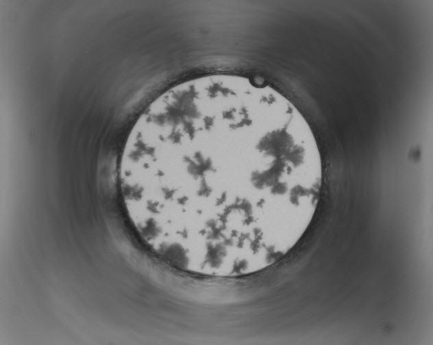 X0000114590024200911301410