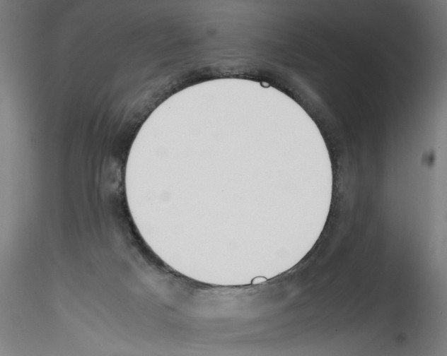 X0000114590025200911301410