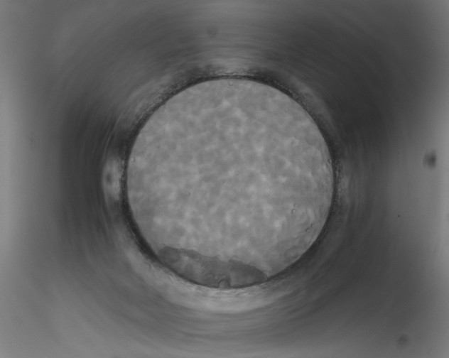 X0000114590026200911301410