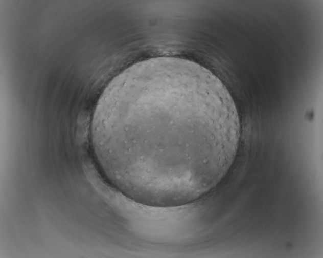 X0000114590030200911301410