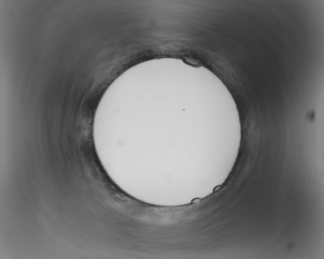 X0000114590033200911301410