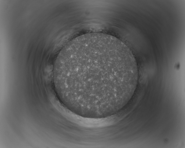 X0000114590034200911301410