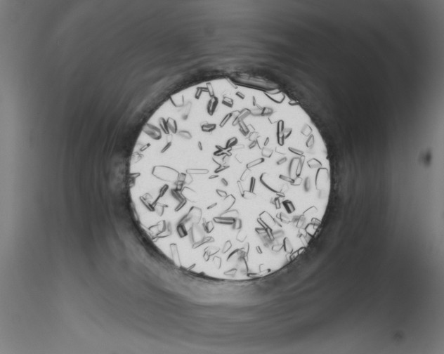 X0000114590036200911301410