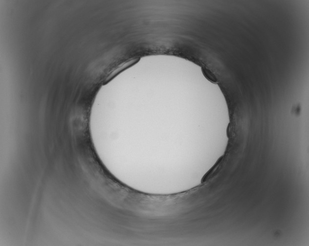 X0000114590037200911301410