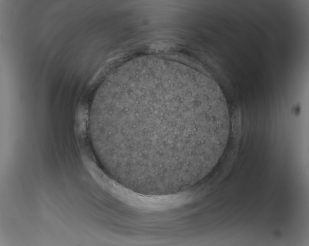 X0000114590038200911301410