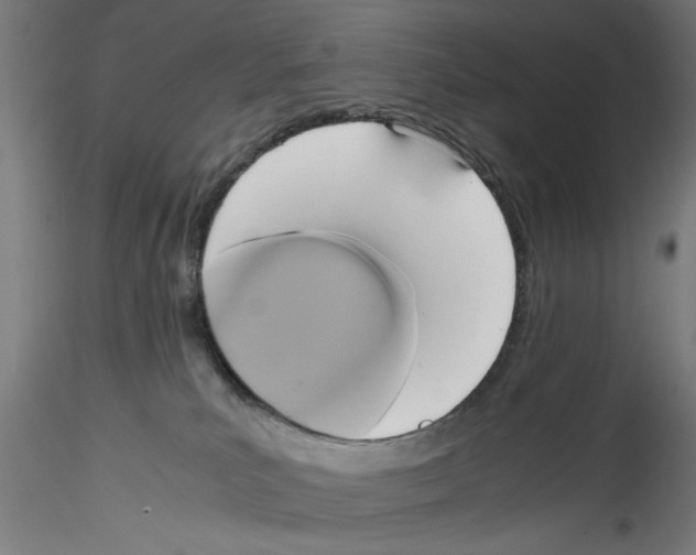 X0000114590039200911301410