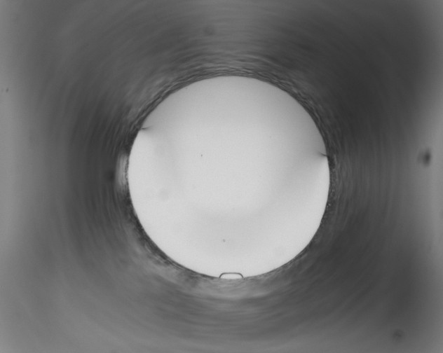 X0000114590041200911301410