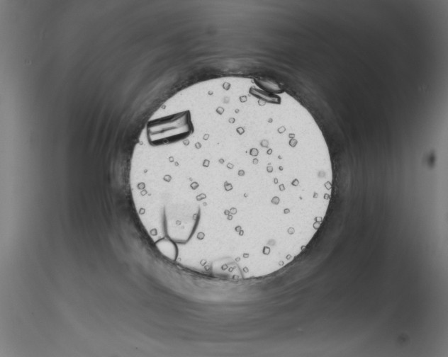 X0000114590044200911301410